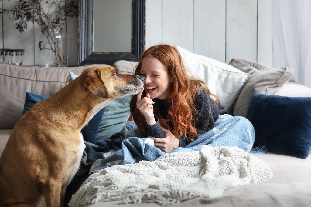 Dog and owner